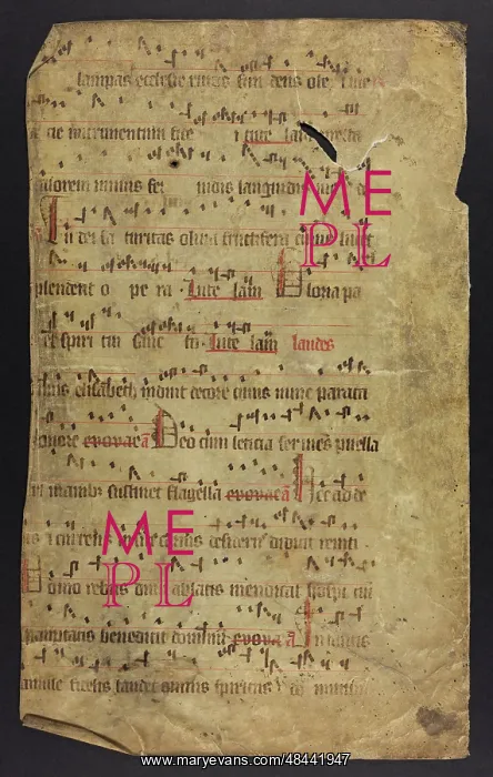: Antiphonal (Fragment) : Antiphonal (Fragment)