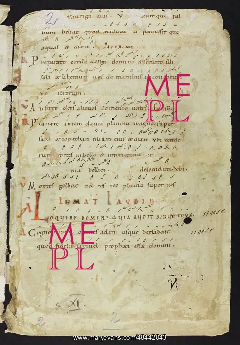 : Antiphonal (Fragment) : Antiphonal (Fragment)