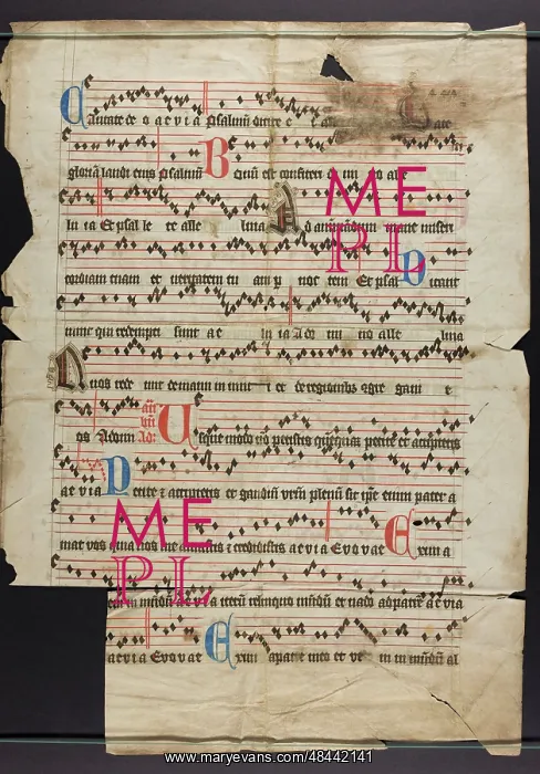 : Antiphonal (Fragment) : Antiphonal (Fragment)