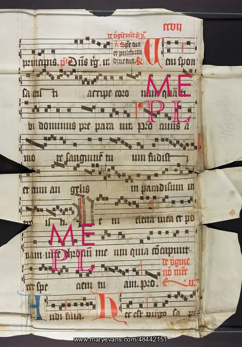 : Antiphonal (Fragment) : Antiphonal (Fragment)