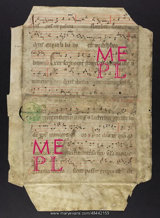 : Antiphonal (Fragment) : Antiphonal (Fragment)