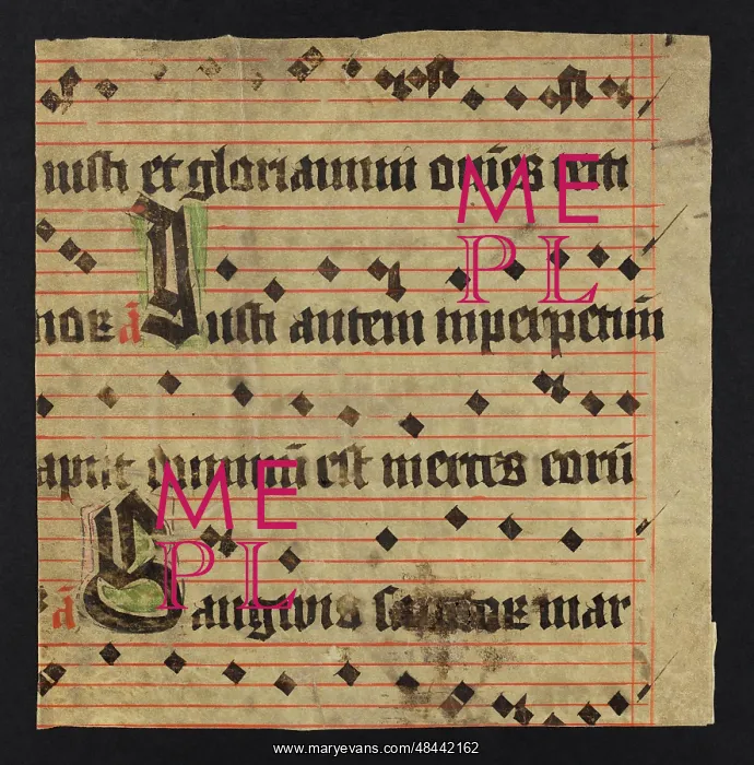 : Antiphonal (Fragment) : Antiphonal (Fragment)