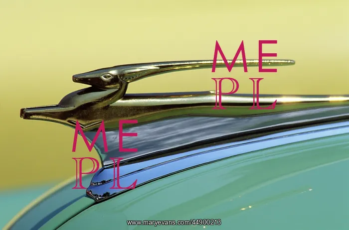  : Antique Hood Ornaments