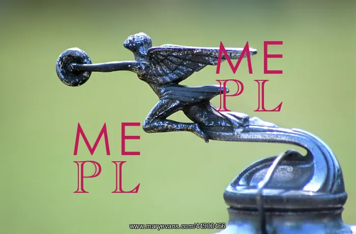  : Antique Hood Ornaments