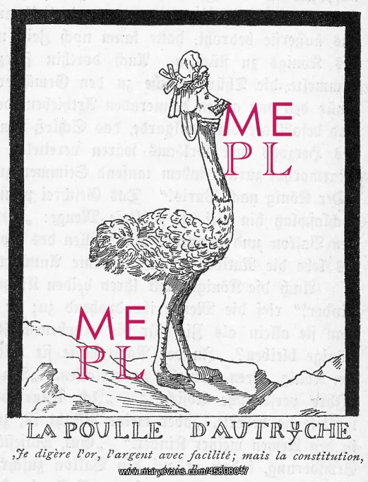 : ANTOINETTE AS OSTRICH : ANTOINETTE AS OSTRICH