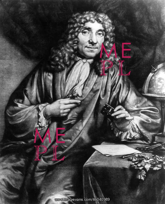 : Antoni van Leeuwenhoek : Antoni van Leeuwenhoek