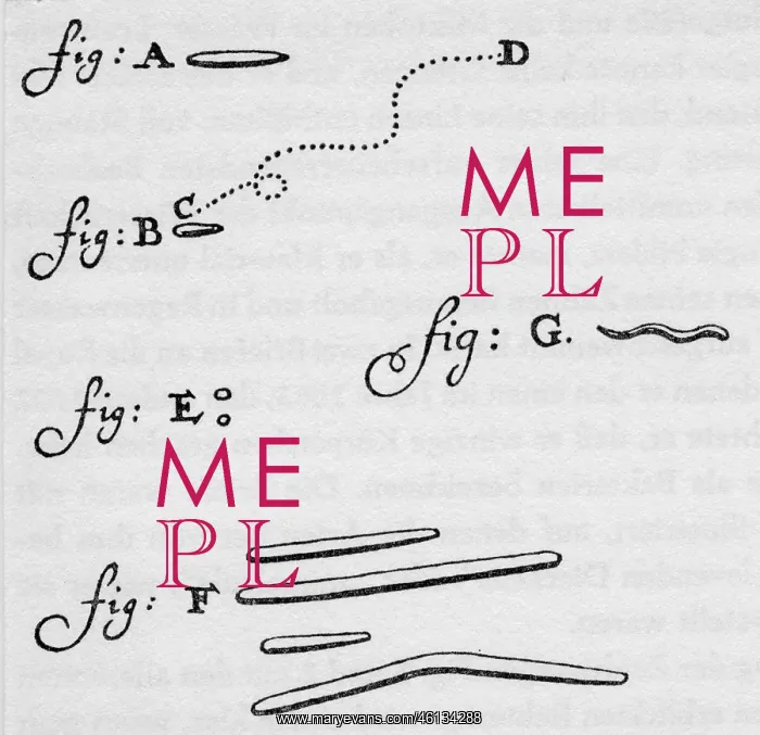 : Antoni van Leeuwenhoek : Antoni van Leeuwenhoek