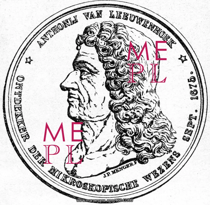 : Antoni van Leeuwenhoek : Antoni van Leeuwenhoek