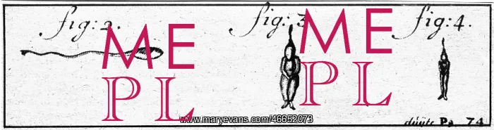 : Antoni van Leeuwenhoek : Antoni van Leeuwenhoek