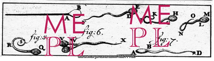 : Antoni van Leeuwenhoek : Antoni van Leeuwenhoek