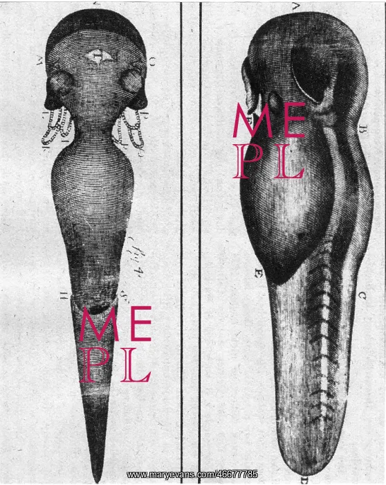 : Antoni van Leeuwenhoek : Antoni van Leeuwenhoek