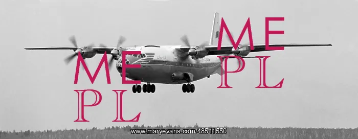 : Antonov An-10 Airliner : Antonov An-10 Airliner