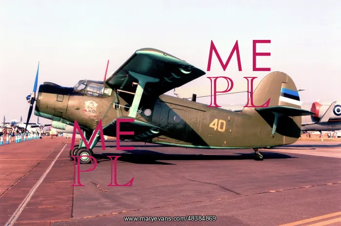: Antonov An-2T 40 Yellow : Antonov An-2T 40 Yellow