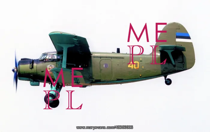 : Antonov An-2T 40 Yellow : Antonov An-2T 40 Yellow