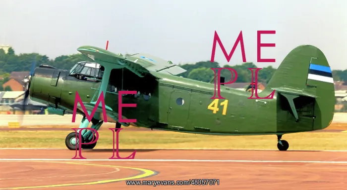 : Antonov An-2T 41 Yellow : Antonov An-2T 41 Yellow