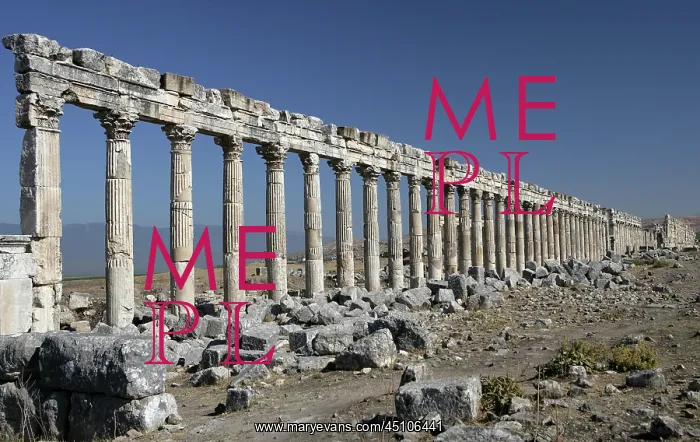: Apamea (Afamia), erected by Trajan (AD 52 ? 117) who ordered its complete : Apamea (Afamia), erected by Trajan (AD 52 ? 117) who ordered its complete