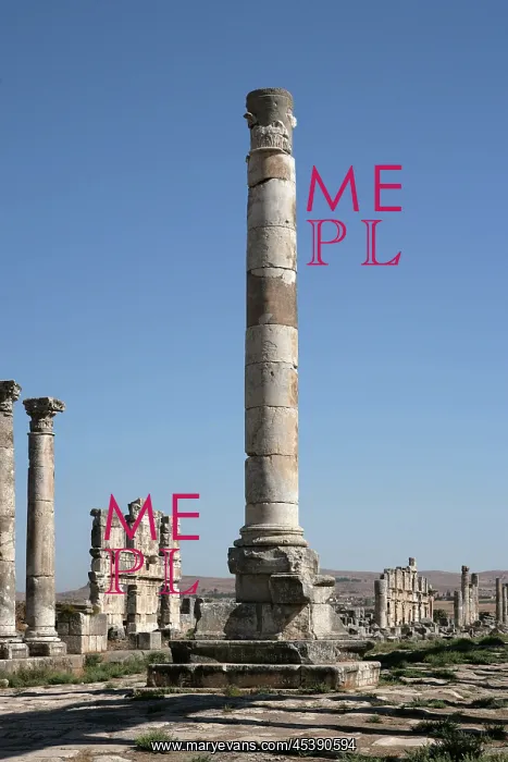 : Apamea (Afamia) : Apamea (Afamia)