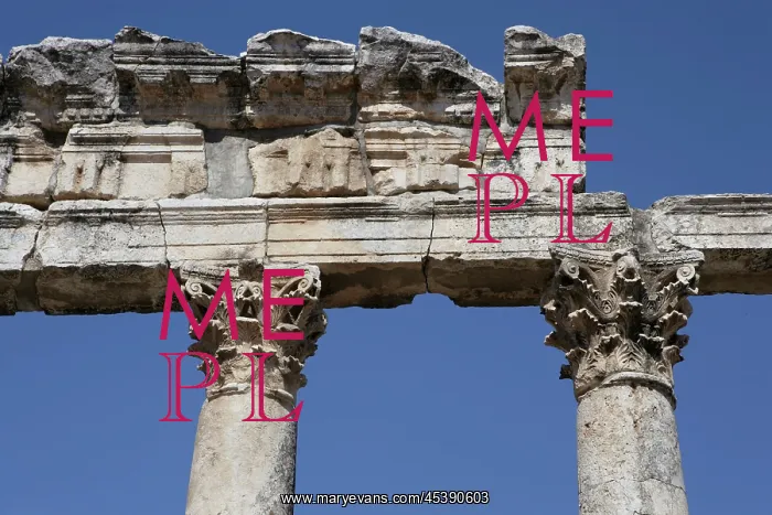 : Apamea (Afamia) : Apamea (Afamia)