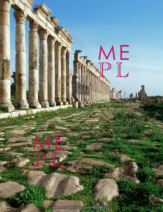  : Apamea. Cardo Maximus. Syria