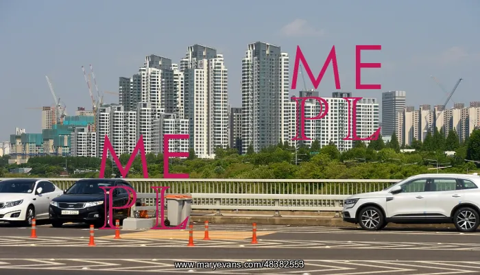 : Apartment blocks are the predominant housing format : Apartment blocks are the predominant housing format