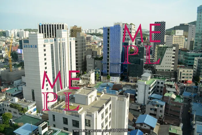 : Apartment blocks are the predominant housing format : Apartment blocks are the predominant housing format