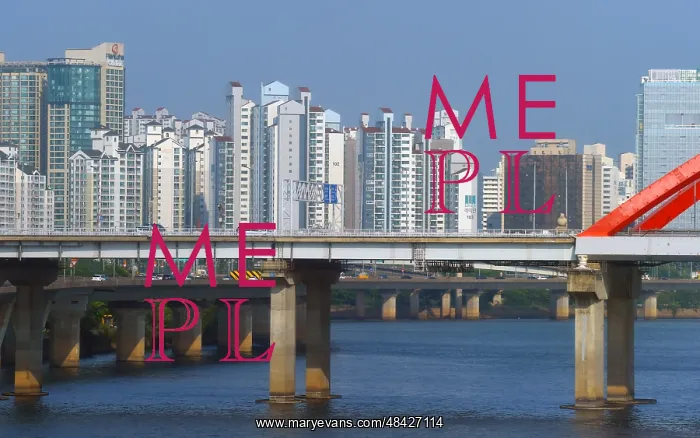 : Apartment blocks are the predominant housing format : Apartment blocks are the predominant housing format
