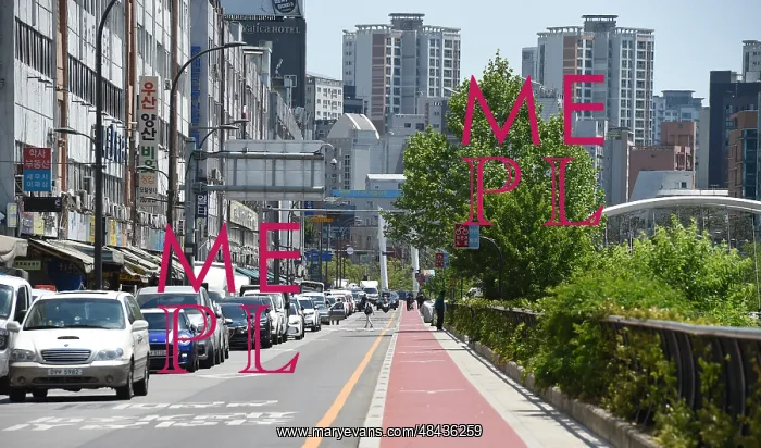 : Apartment blocks are the predominant housing format : Apartment blocks are the predominant housing format