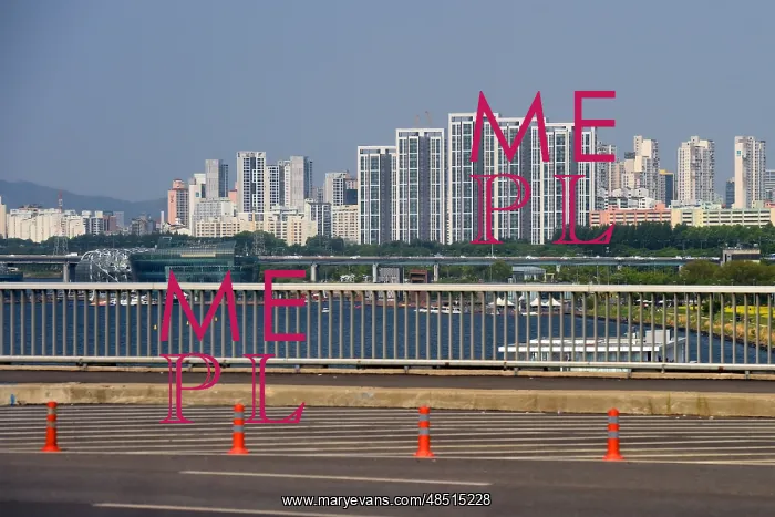 : Apartment blocks are the predominant housing format : Apartment blocks are the predominant housing format