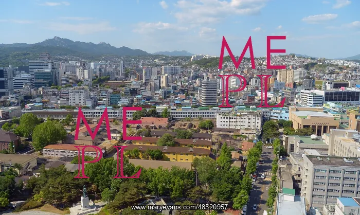 : Apartment blocks are the predominant housing format : Apartment blocks are the predominant housing format