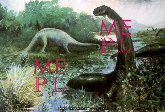 : Apatosaurus : Apatosaurus
