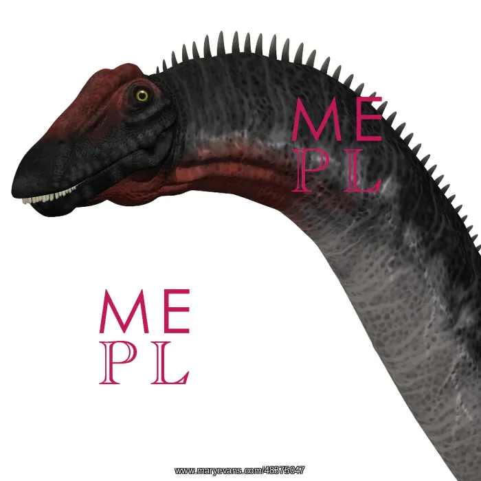 : Apatosaurus dinosaur : Apatosaurus dinosaur