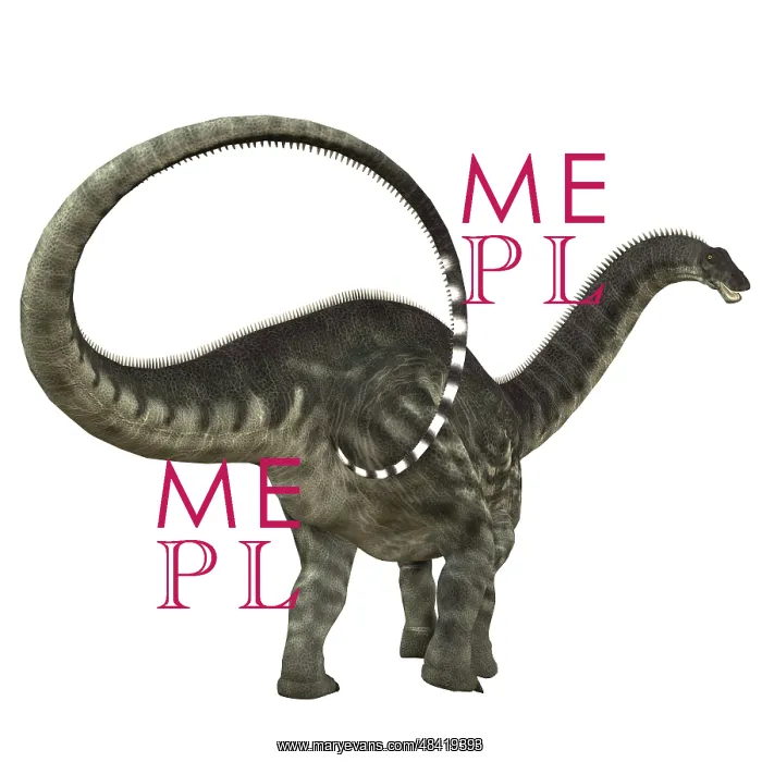 : Apatosaurus dinosaur : Apatosaurus dinosaur