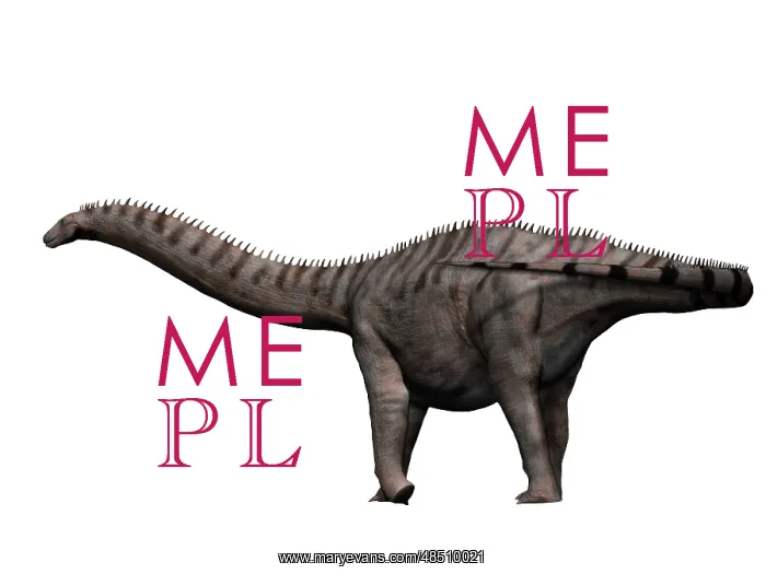  : Apatosaurus dinosaur