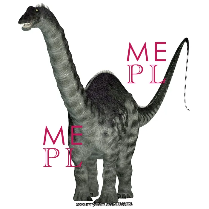 : Apatosaurus dinosaur, front view : Apatosaurus dinosaur, front view