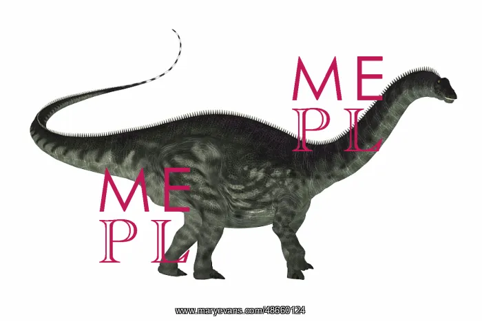 : Apatosaurus dinosaur, side view on white background : Apatosaurus dinosaur, side view on white background