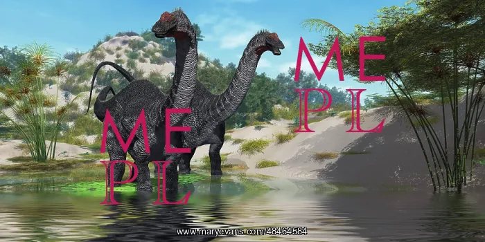 : Two Apatosaurus dinosaur wade through a lush pond : Two Apatosaurus dinosaur wade through a lush pond