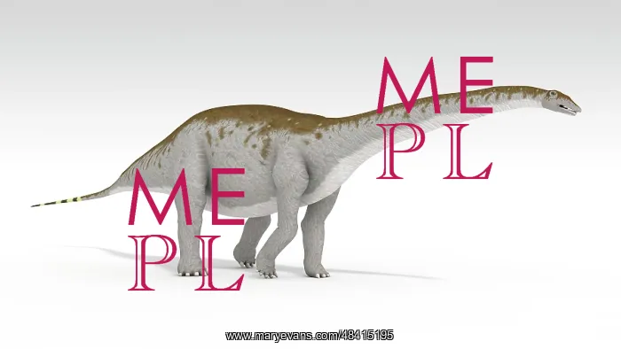 : Apatosaurus dinosaur, white background : Apatosaurus dinosaur, white background