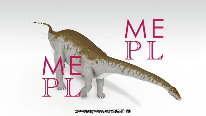 : Apatosaurus dinosaur, white background : Apatosaurus dinosaur, white background