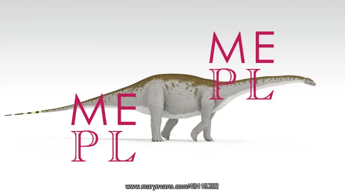 : Apatosaurus dinosaur, white background : Apatosaurus dinosaur, white background