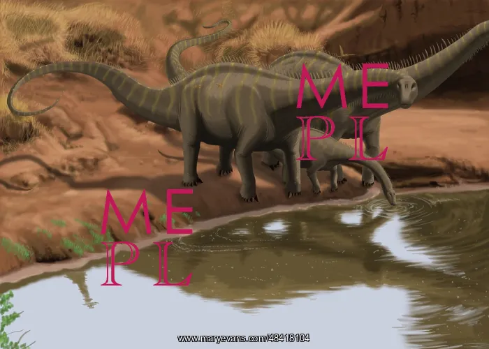 : Apatosaurus dinosaurs drinking water at the edge of a lake : Apatosaurus dinosaurs drinking water at the edge of a lake