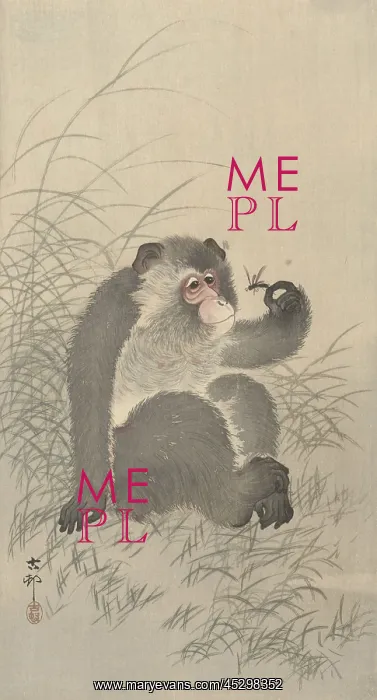 : Ape with Insect : Ape with Insect