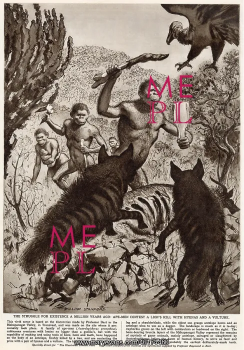 : Ape men fight off animals : Ape men fight off animals