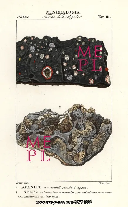  : Aphanite and chalcedony flint
