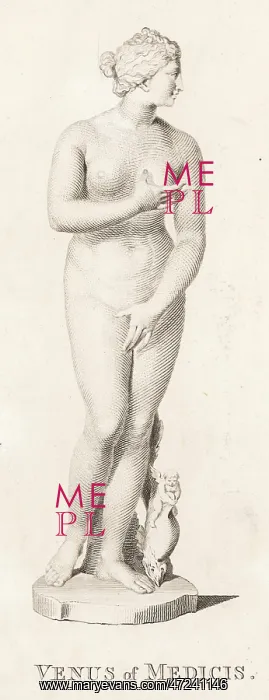 : Aphrodite - Volpato : Aphrodite - Volpato