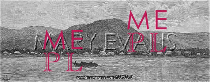  : APIA / SAMOAN GROUP