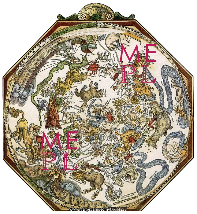 : Apian's Star Chart : Apian's Star Chart