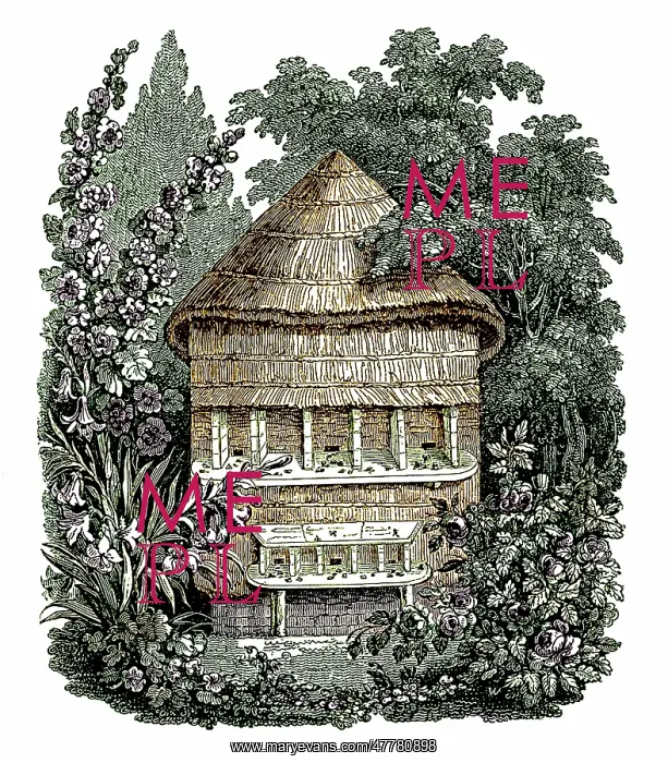 : Apiary, Hives for Honey Bees, 1827 : Apiary, Hives for Honey Bees, 1827