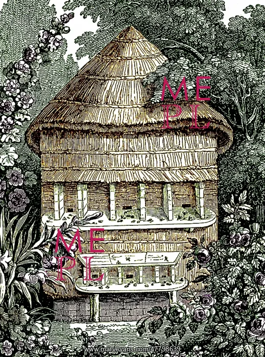 : Apiary, Hives for Honey Bees, 1827 : Apiary, Hives for Honey Bees, 1827
