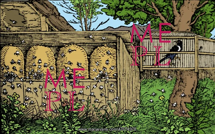 : Apiary, Skep Beehives : Apiary, Skep Beehives