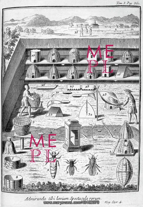 : Apiculture (bee keeping) from the 1775 edition : Apiculture (bee keeping) from the 1775 edition